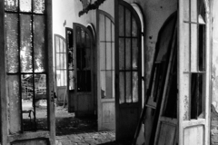 bn_006-P1100008-copia