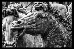 bn_018-BW-012