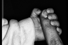 bn_024-BW-006