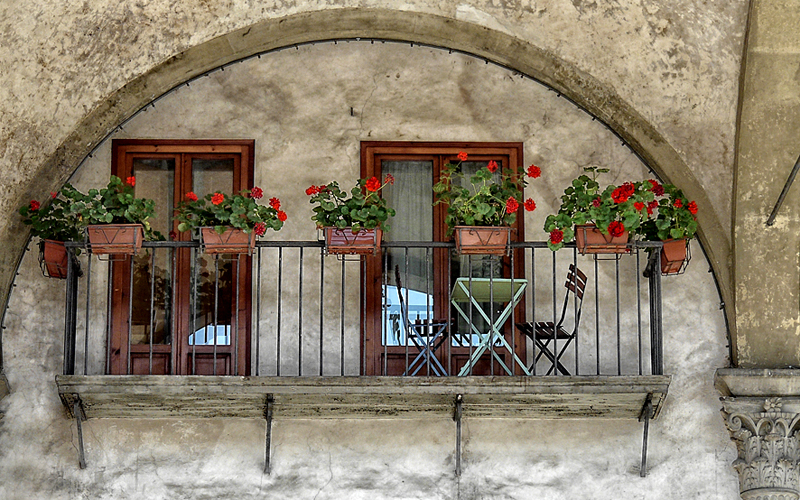 firenze_048-P1010702-copia