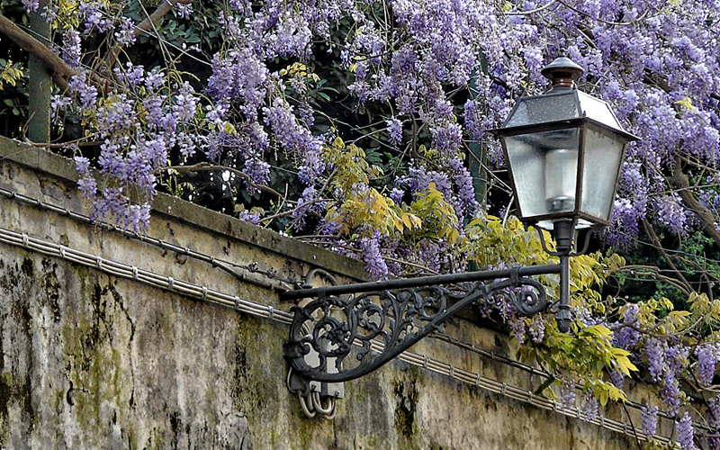 firenze_050-P1010223-copia