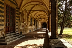 firenze_042-P1130078-20x30