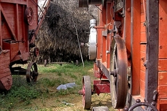 toscana_014-DSCN3473-copia