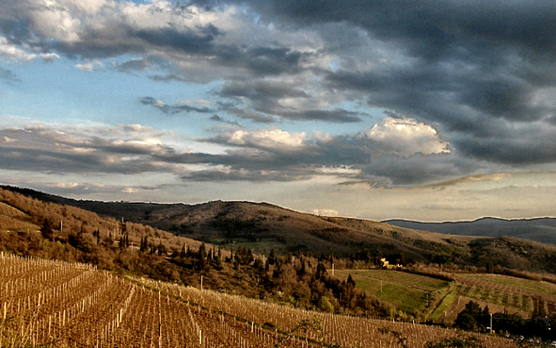 toscana_002-P1100956-copia